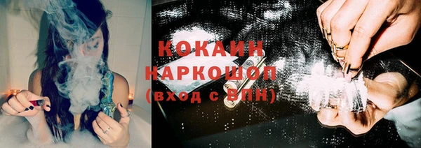 соль ск Новокубанск
