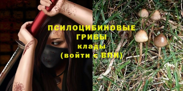 прущая мука Абаза
